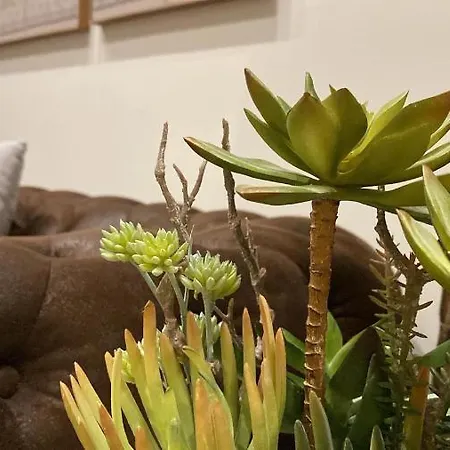 Haus Bahia Appartamento *