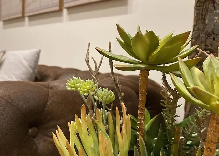 Haus Bahia Апартаменты *